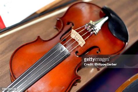 Image result for Viola String Instrument