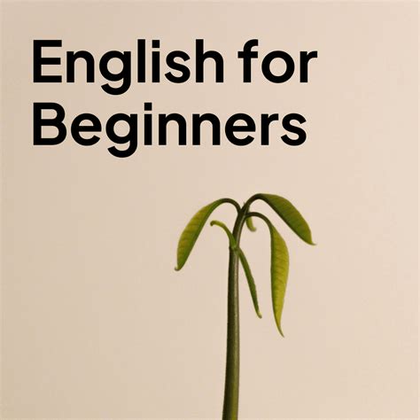 Basic English Learning for Beginners 的图像结果