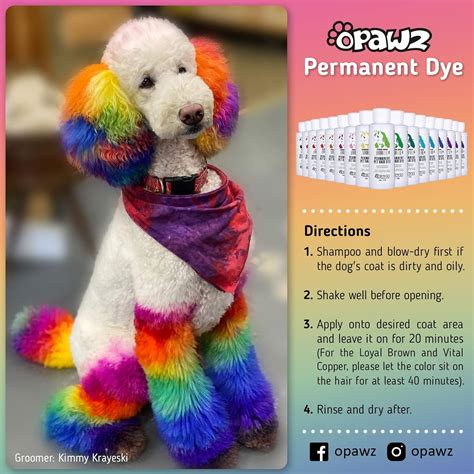 Is It Safe To Dye Dogs Hair