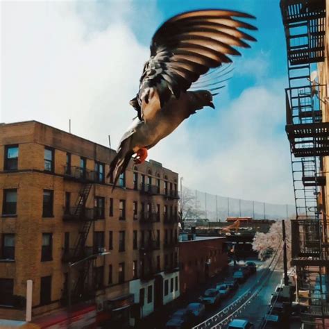 Instagram becomes art at the Bronx Documentary Center - Mott Haven Herald