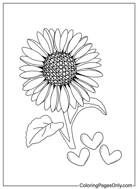 Sunflower Coloring Pages