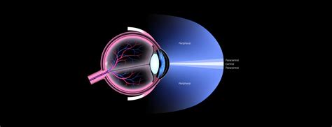 Image result for Peripheral Vision