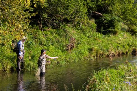 TROUT Tip - Reach Cast - Trout Unlimited