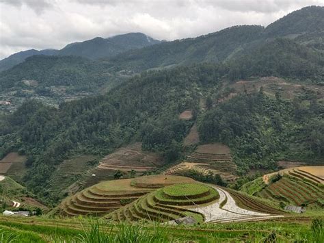 INDIGENOUS HOMESTAY 1 (Mu Cang Chai) - Hostel Reviews & Photos ...