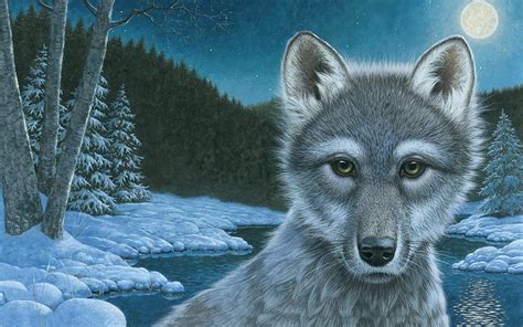 Image result for Wolves Book