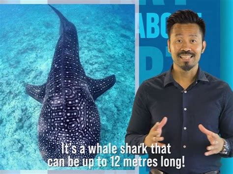 Best Kids Edutainment Videos | Lets Learn & Play!