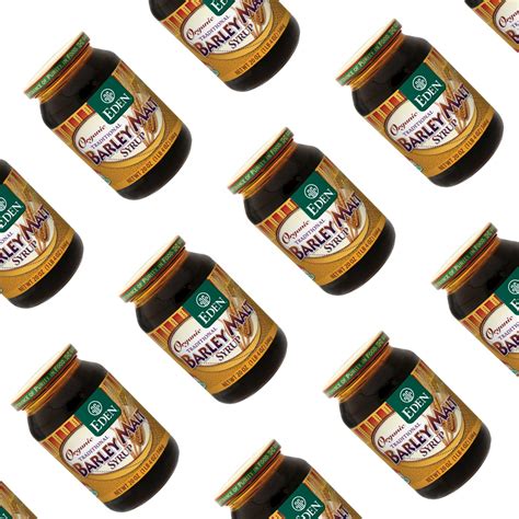 Snapklik.com : Organic Traditional Barley Malt Syrup, Whole Grain ...