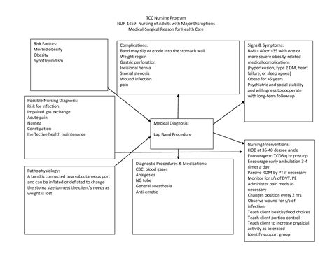 Nursing Diagnosis Concept Maps | scope of work template | Nurses ...
