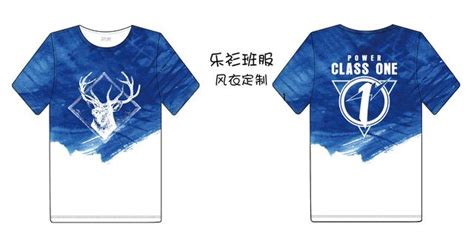 北京市西城区常青藤可持续发展研究所创意文化衫