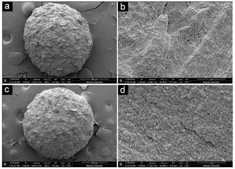 Eco-Friendly Physical Activation Methods for Suzuki–Miyaura Reactions