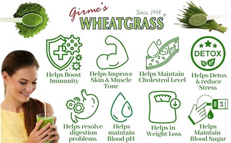 Buy Girme's Wheatgrass Powder 100g Bottle | India Organic - Jaivik ...