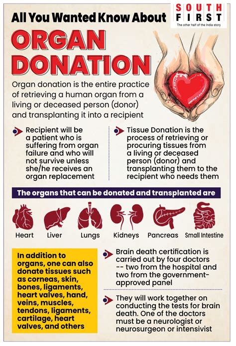 Cadaver organ donation: With social media abuzz about unscrupulous ...
