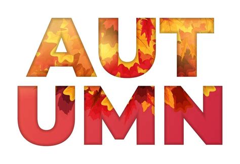 Image result for Fall Design Vector