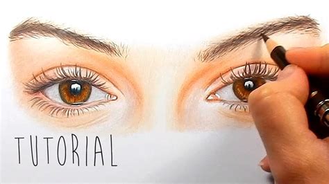 Image result for Colored Pencil Realistic Drawing Tutorial