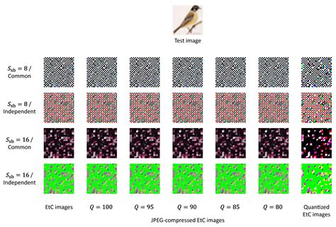 Effects of JPEG Compression on Vision Transformer Image Classification ...