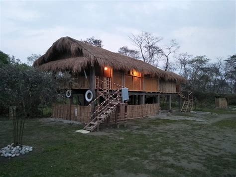 KG ECOCAMP (Assam) - Campground Reviews & Photos - Tripadvisor