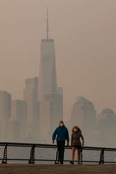 Trending and viral stories on environment