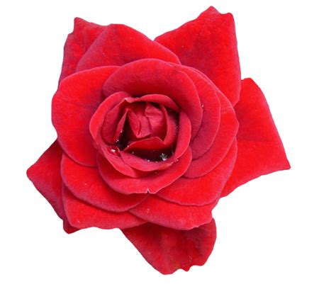 About || Indian Agarbatti Manufacturer
