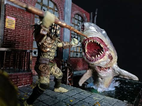 Zombie Vs Shark