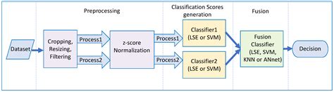 Human Activity Recognition via Score Level Fusion of Wi-Fi CSI Signals