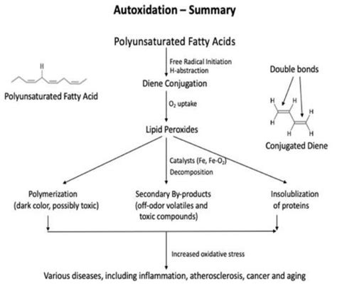 Lipid Oxidation in Food Systems | Encyclopedia MDPI