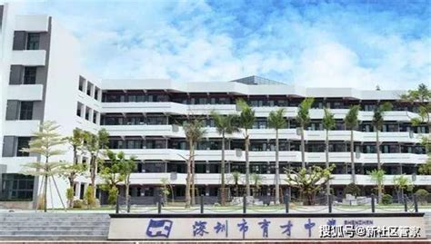 深圳前海哈罗外籍人员子女学校校园风采-远播国际教育