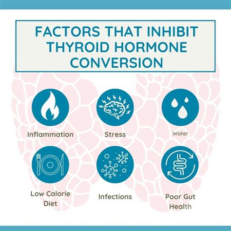 Thyroid Medications: A Comprehensive Guide