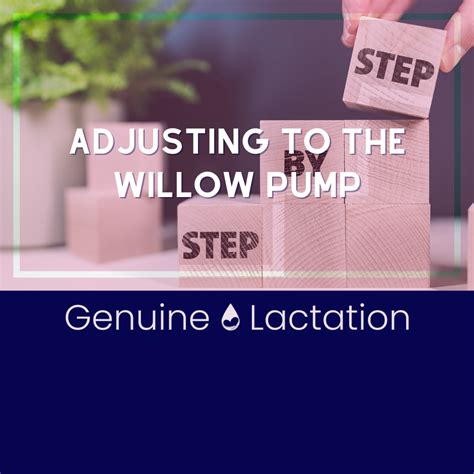 Image result for Serial Number in Willow Pumping Machine