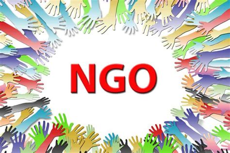 NGO、NPO是什么？有什么区别？ - 知乎