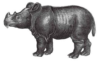 Image result for JavaScript Language Animal