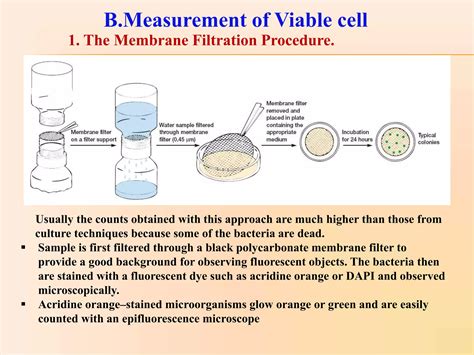 Measurement of microbial growth | PPTX
