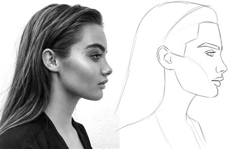 Female Nose Drawing Side View