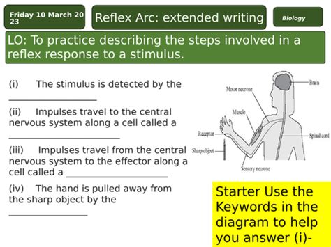 Homeostasis Free Science Lessons 的图像结果