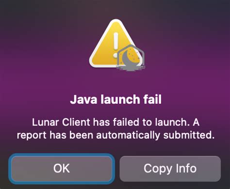 Image result for Lunar Client Launch Error Short Java Launch Fail