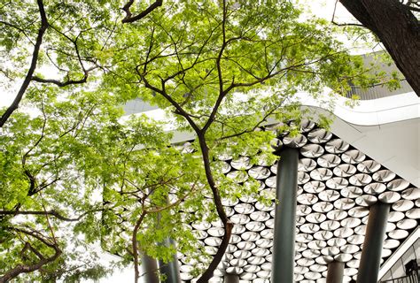 Image result for Scape Studio Landscape Design