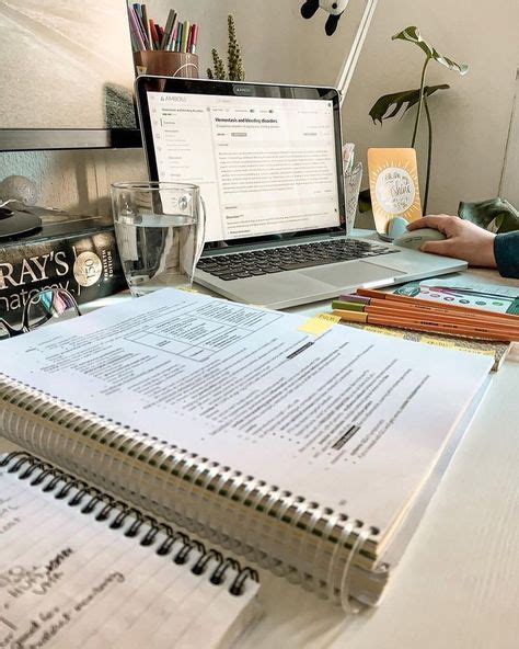 Notebook Notes 的图像结果