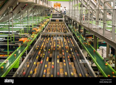 Image result for Pill Sorting Machine