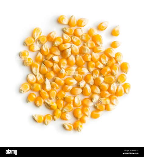 Corn Seeds