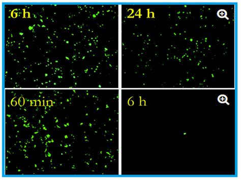 Can Copper Products and Surfaces Reduce the Spread of Infectious ...