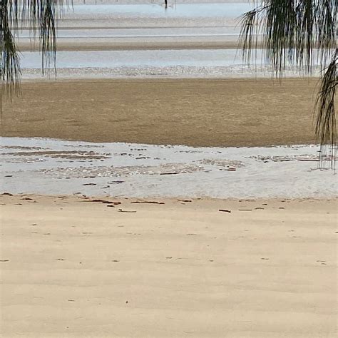 SAADANI SAFARI LODGE (Saadani National Park) - Lodge Reviews, Photos ...