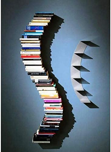 INDIAN DECOR. Classic Wave Invisible Book Shelf (White) : Amazon.in ...