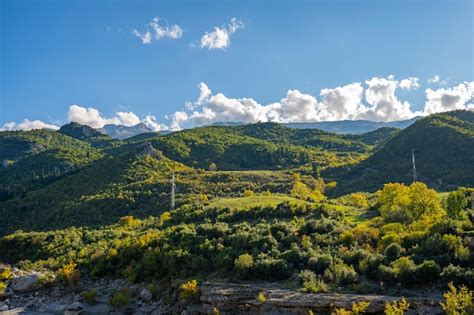 Quiet 的图像结果