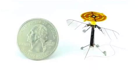 Spy Robot Fly Insects 的图像结果