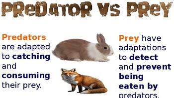 Image result for Prey vs.Predator