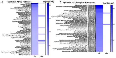 Multiomics Analysis Reveals Novel Genetic Determinants for Lens ...