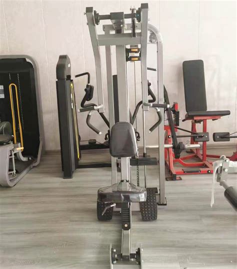 Image result for Back Workout Machine