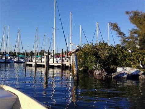 Kayak Nature Adventures (Gulfport) - 2022 What to Know Before You Go ...