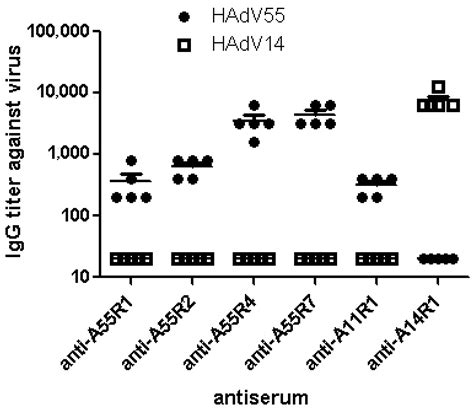 Identification and Application of Neutralizing Epitopes of Human ...