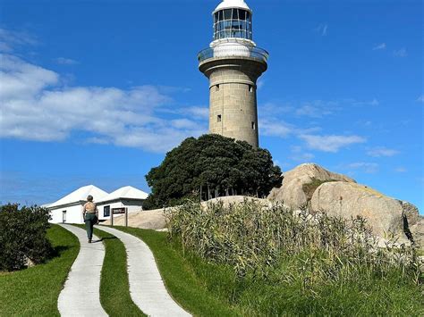 NAROOMA CHARTERS MONTAGUE ISLAND TOURS (2026) All You Need to Know ...