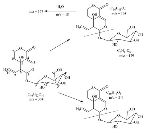Swertiamarin ointment: A traditional approach in cutaneous wound healing